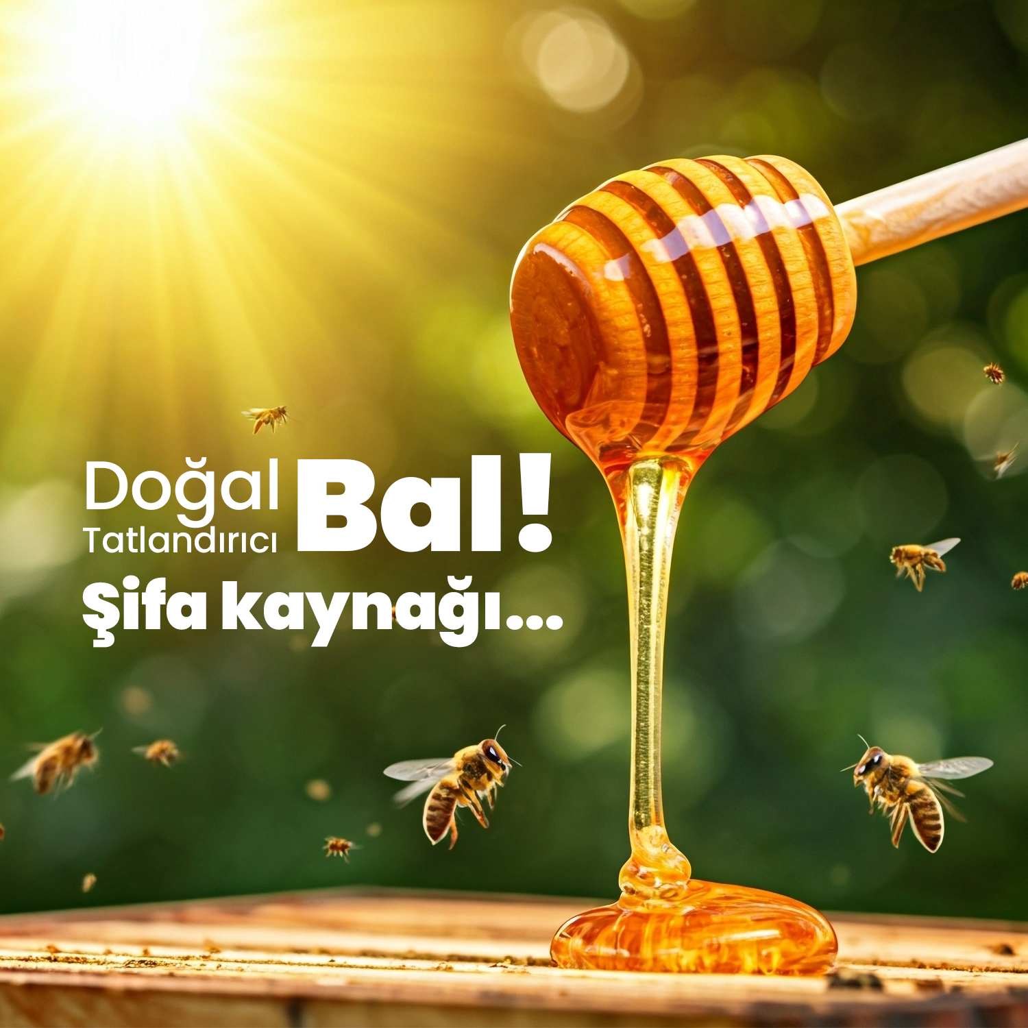 Bal | Doğal Tatlandırıcı ve Şifa Kaynağı