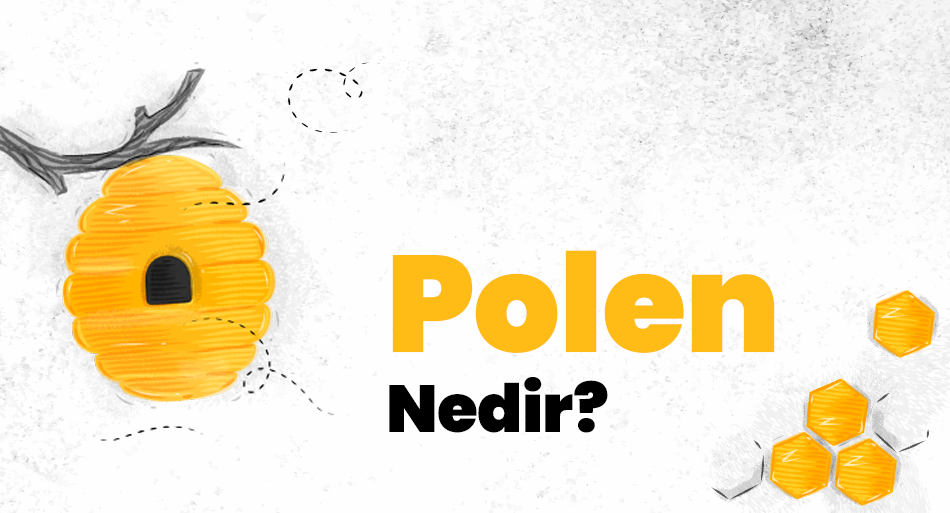 Polen Nedir?