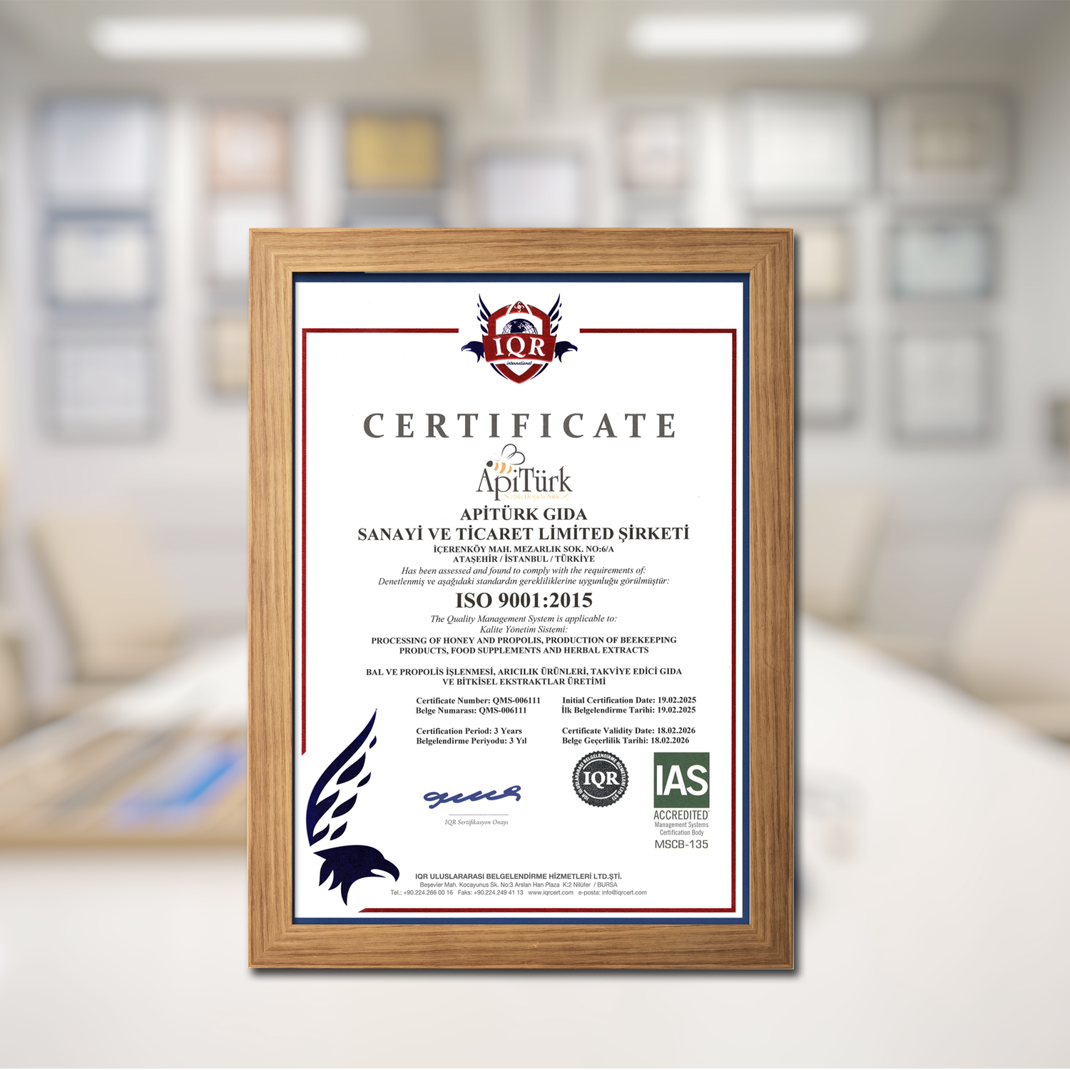 APİTÜRK GIDA SAN.VE TİC.LTİ. ŞTİ. Resim - 2