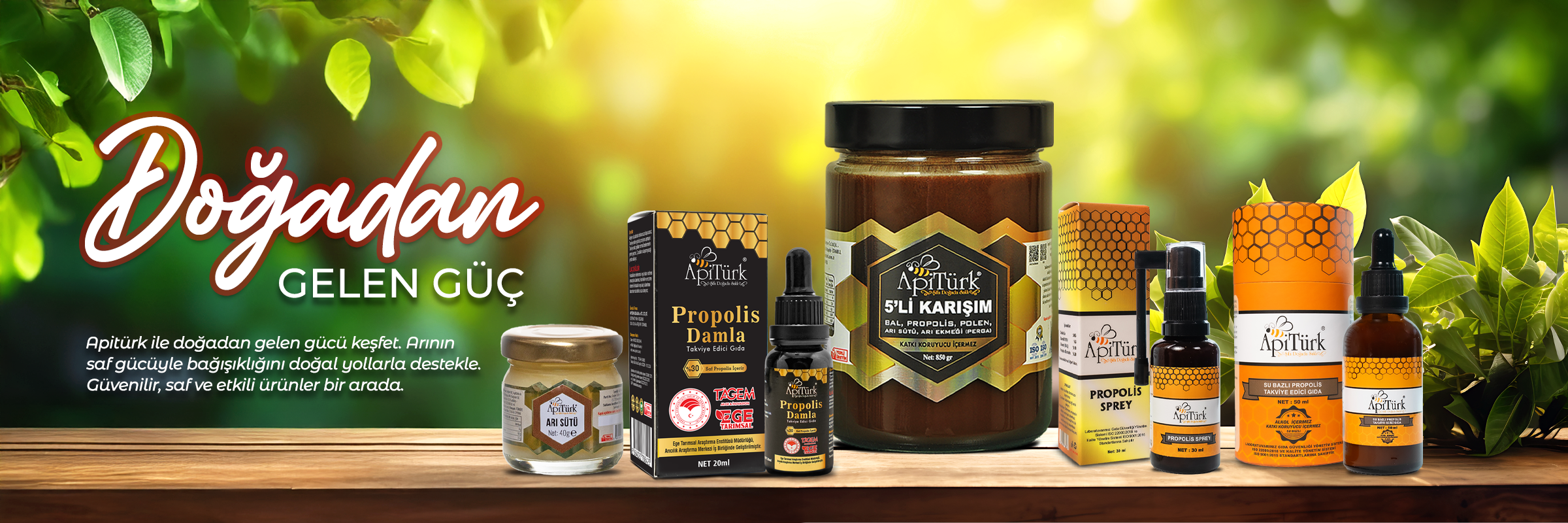 APİTÜRK GIDA SAN.VE TİC.LTİ. ŞTİ. - 2