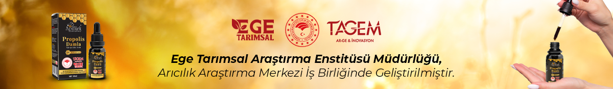 APİTÜRK GIDA SAN.VE TİC.LTİ. ŞTİ. - 1