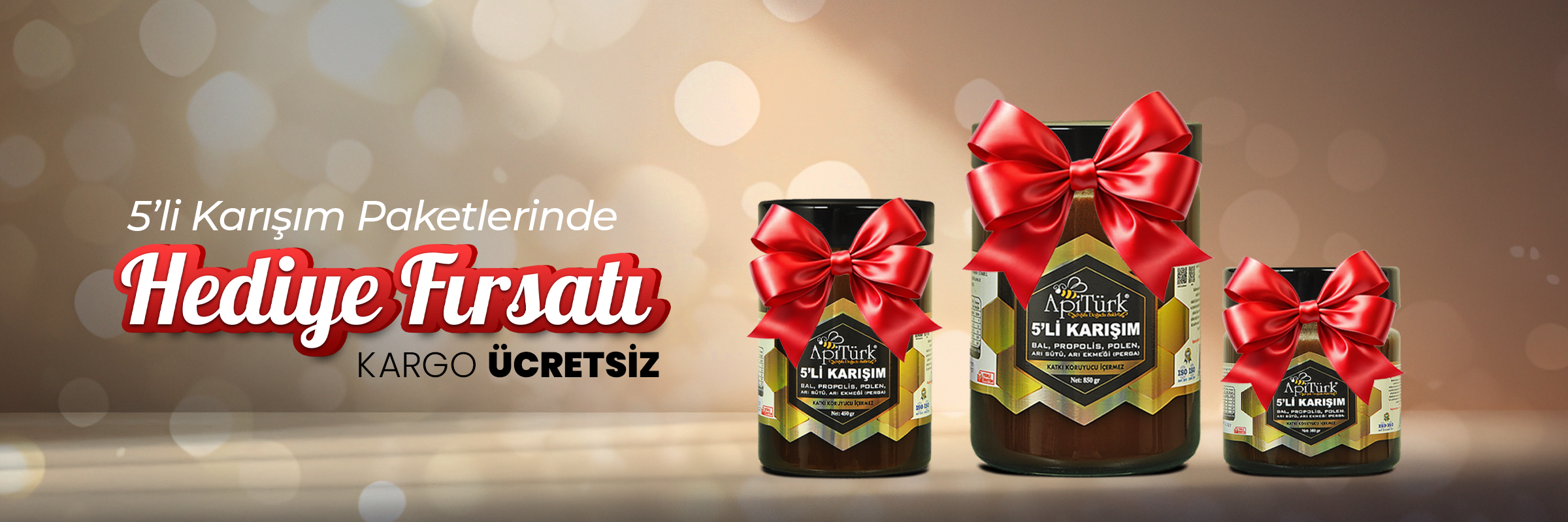 APİTÜRK GIDA SAN.VE TİC.LTİ. ŞTİ. - 1