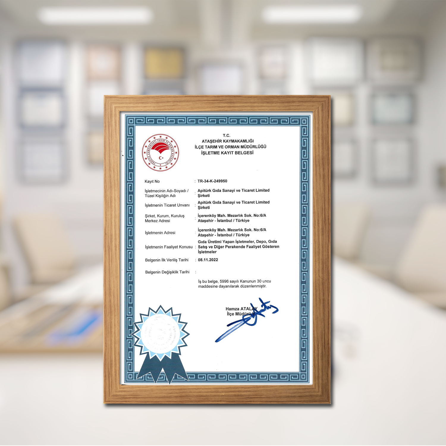 APİTÜRK GIDA SAN.VE TİC.LTİ. ŞTİ. Resim - 2