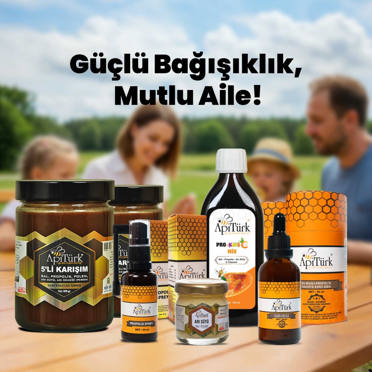 Aile Seti