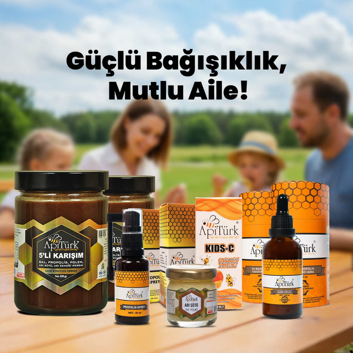 Aile Seti