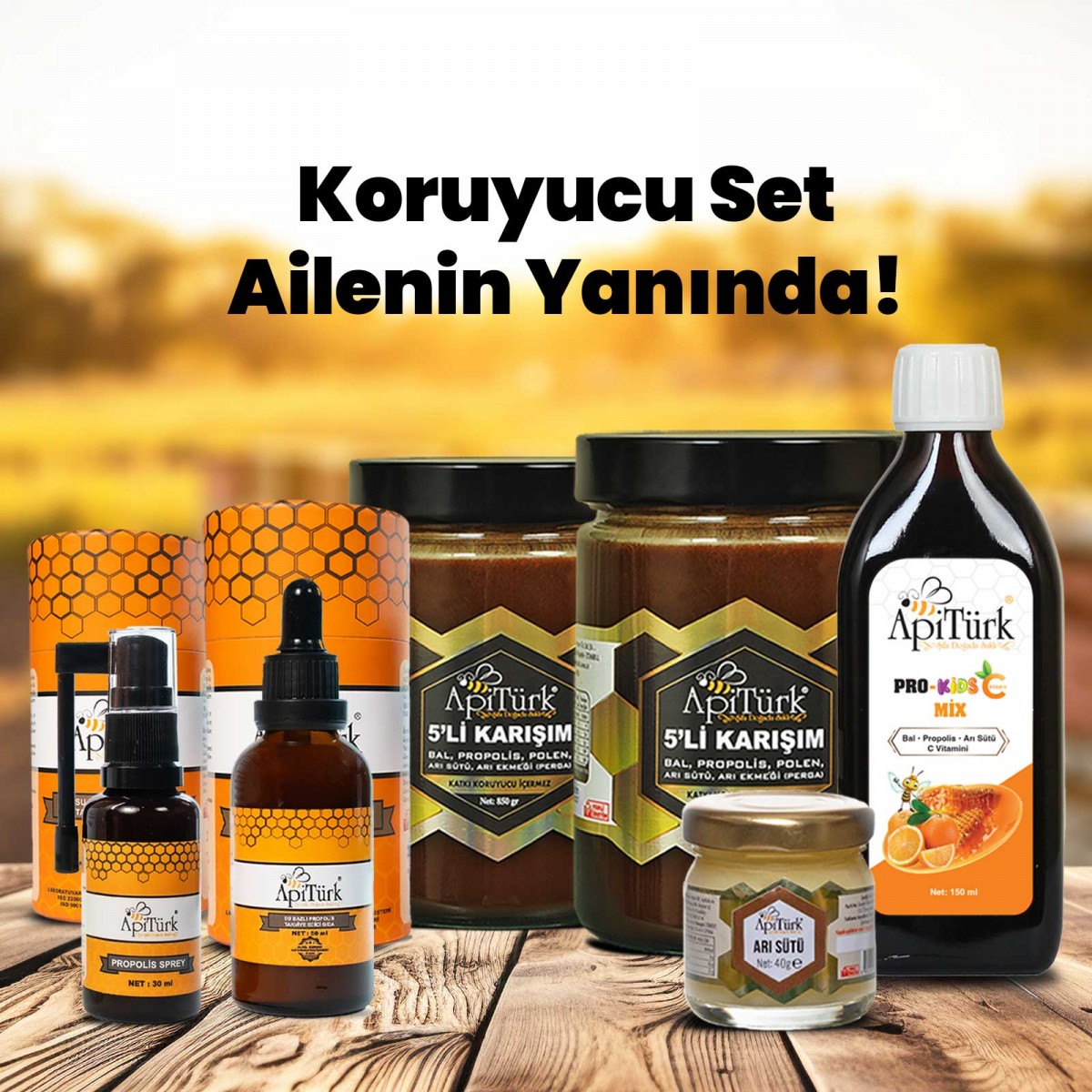 Aile Seti