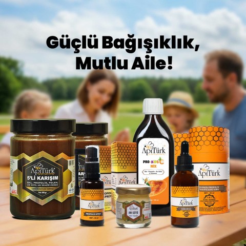 Aile Seti