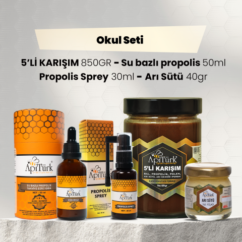 Okul Seti