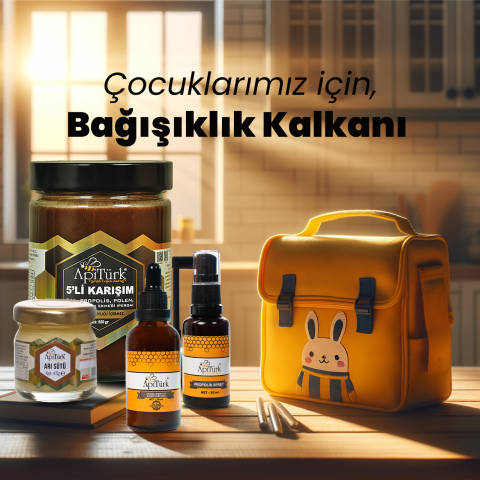 Okul Seti