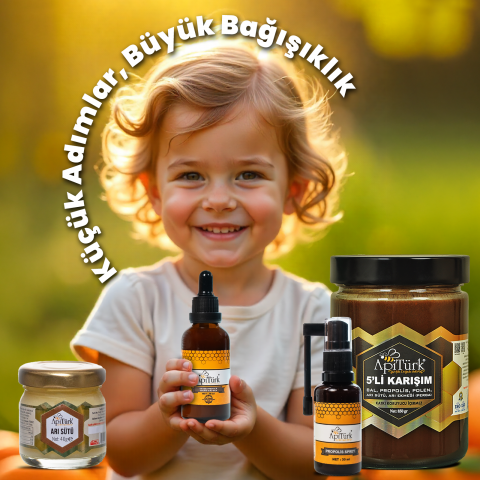 Okul Seti