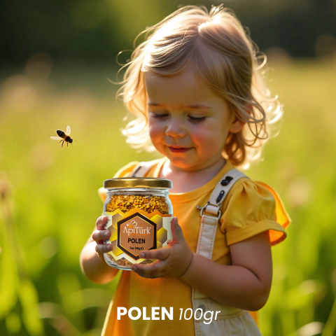 Renkli Kuru Polen 100gr